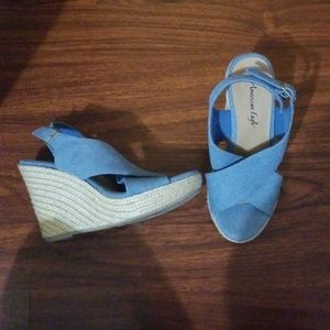 Blue Wedges